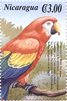 stamp Macaw