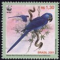 stamp Macaw2