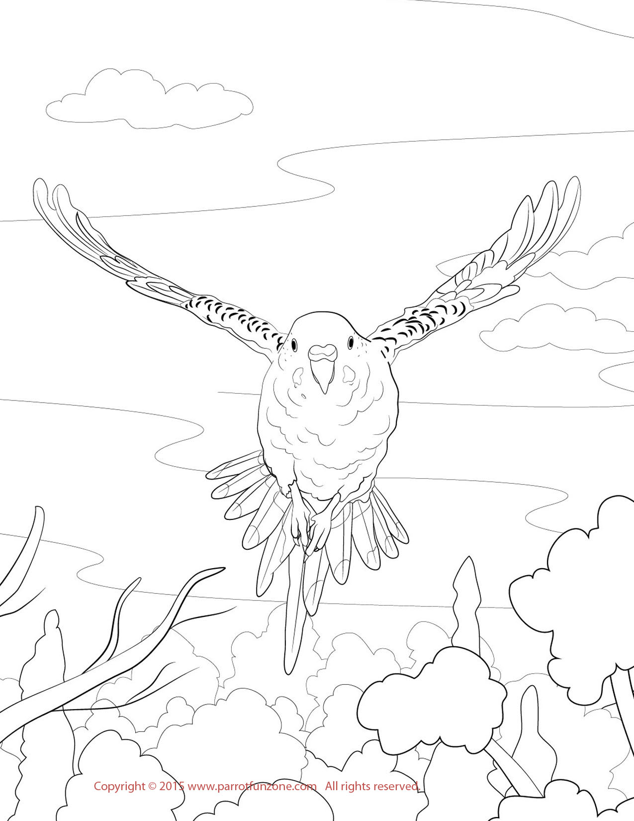 galapagos island coloring pages - photo #31