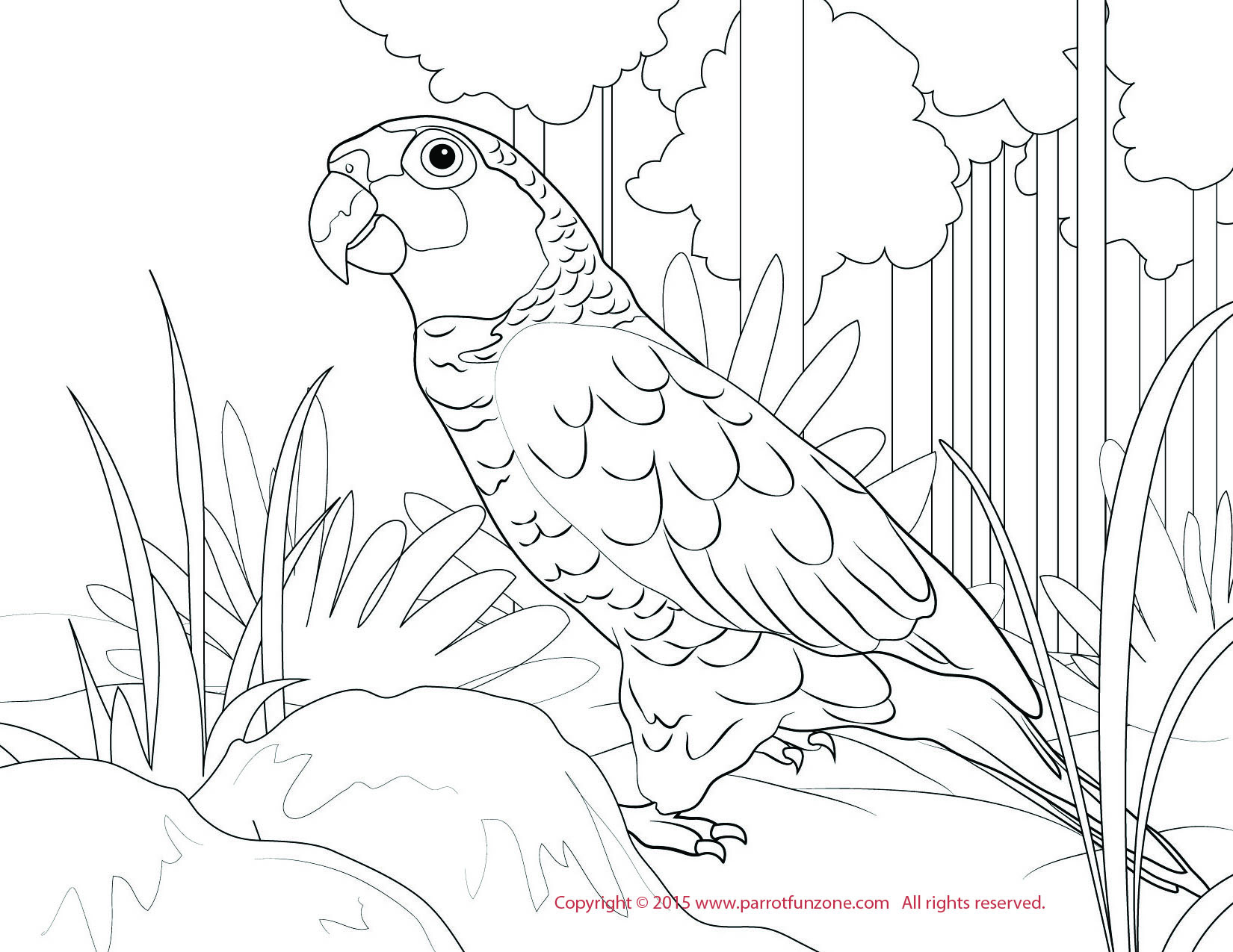 red lored coloring page