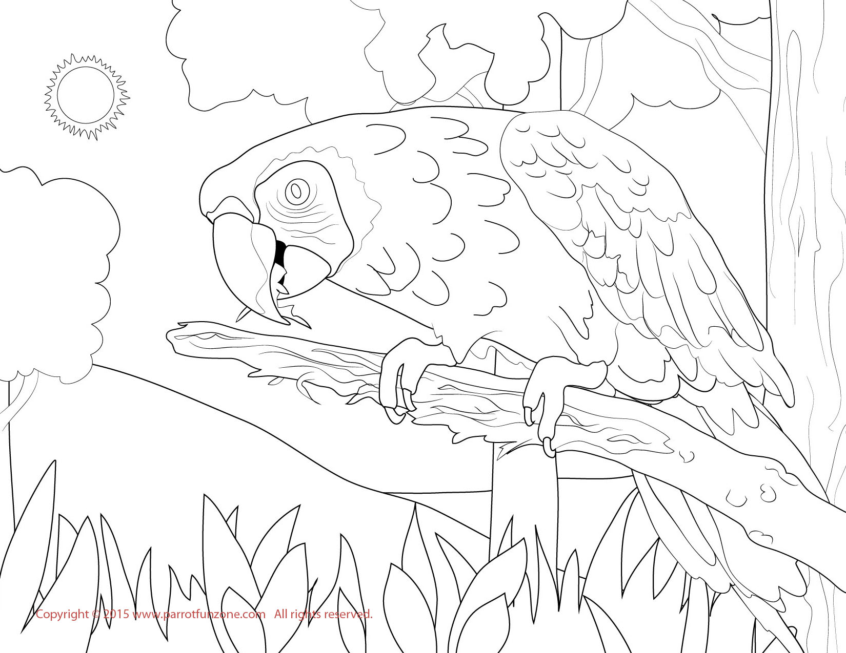 macaw coloring pages super coloring page - photo #17