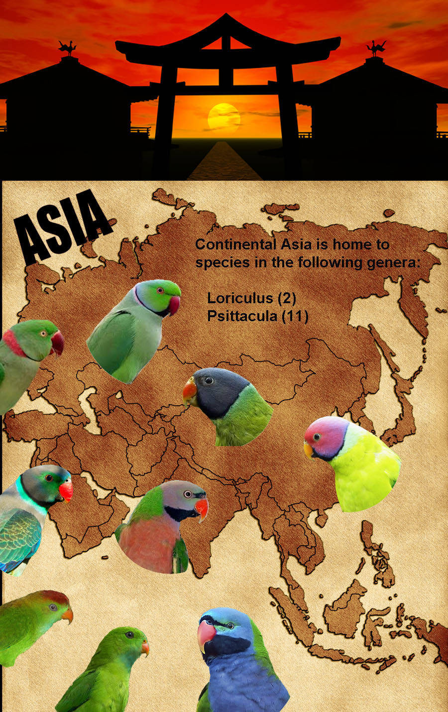 Asia background
