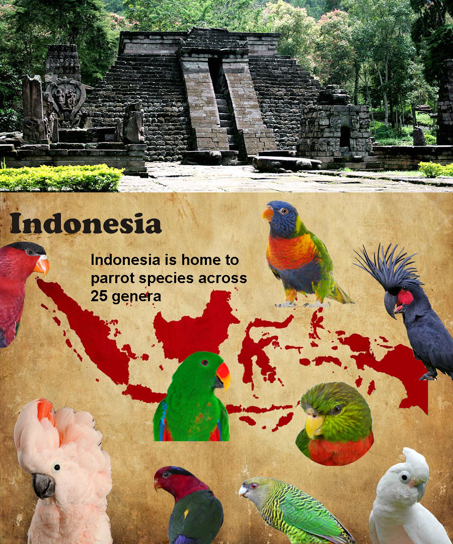 Indonesia background