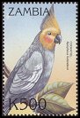 stamp Cockatiel