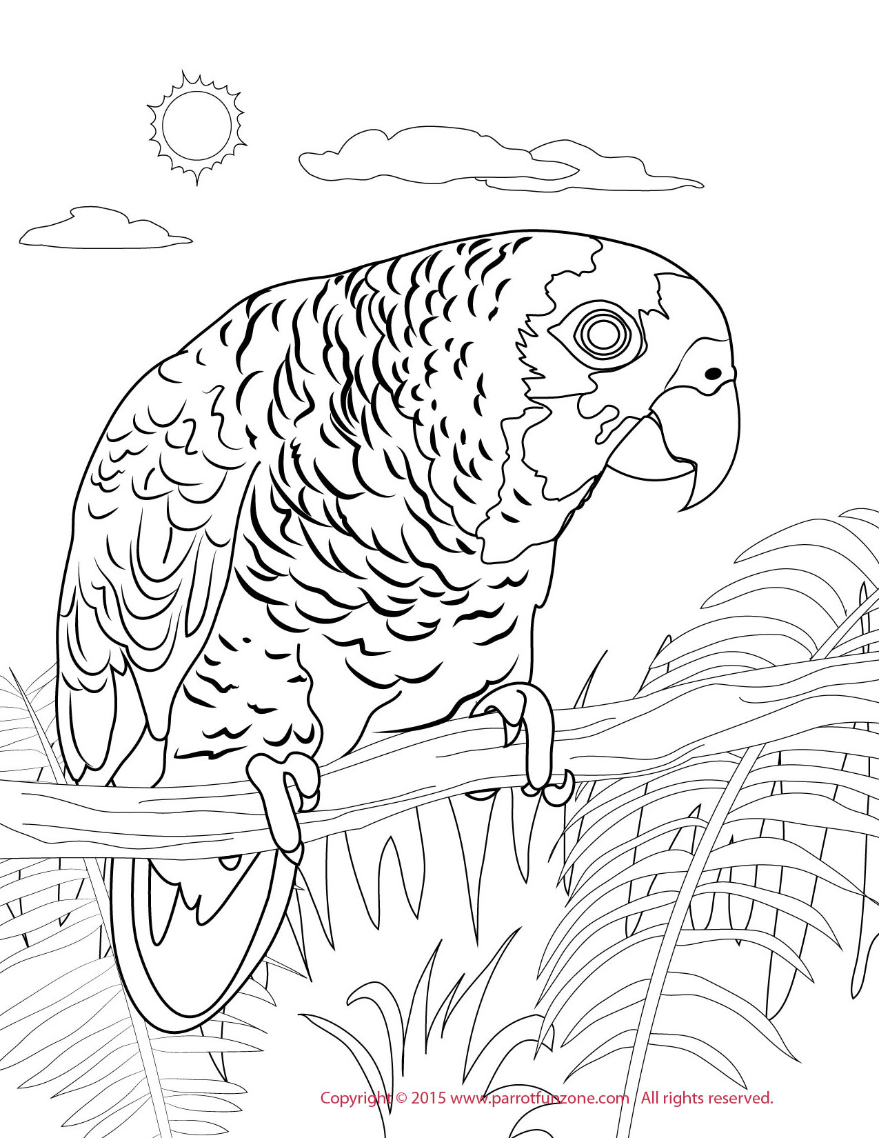 blue front amazon coloring page